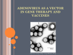 Adenovirus - Microbiology2009