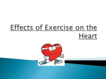 Effects of Exercise on the Heart