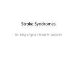 Stroke Syndromes - doc meg`s hideout