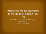 Integrating model organisms to the study of human IBD