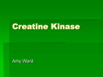Creatine Kinase