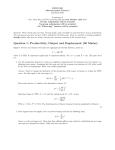 Question 1: Productivity, Output and Employment (30 Marks)