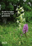 Guide to types of species-rich grassland