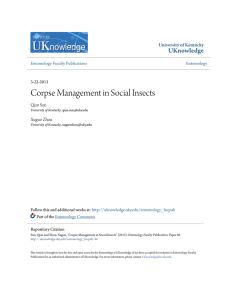 Corpse Management in Social Insects - UKnowledge