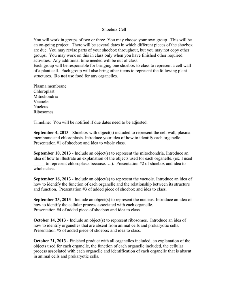 Chloroplasts And Mitochondria Worksheet - Nidecmege