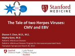 The Tale of two Herpes Viruses: CMV and EBV