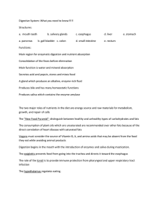 Digestive System: What you need to know!!!!! Structures: a. mouth
