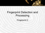 Fingerprint Detection and Processing