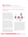 Autophagy in Cancer Promotes Therapeutic Resistance