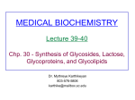 MEDICAL BIOCHEMISTRY Lectures 35-36 Chp. 26