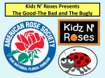 Kidz N` Roses Presents