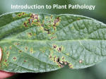 05 Introduction to Plant Pathology_0