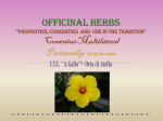 Lime- flowers - Programma LLP