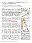 Convection in a partially molten metasedimentary crust? Insights