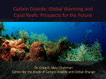 Carbon Dioxide, Global Warming and Coral Reefs