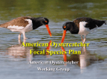 Coastal Bird Conservation Network