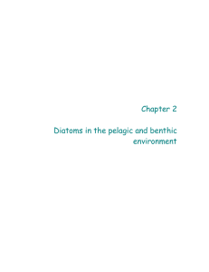 Chapter 2 Diatoms in the pelagic and benthic environment