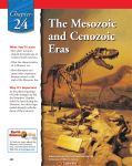 Chapter 24: The Mesozoic and Cenozoic Eras