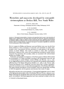 Myrmekite and muscovite developed by retrograde