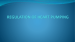 REGULATION OF HEART PUMPING