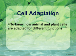 Cell Adaptation - Noadswood Science