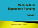 Medium-Term Expenditure Planning