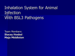 Inhalation System for Animal Infection With BSL3 Pathogens