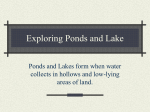 Exploring Ponds and Lake