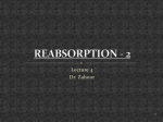 4. REABSORPTION - 2