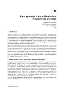 Photosynthetic Carbon Metabolism: Plasticity and Evolution