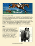 feeding the pregant mare - Summit Equine Nutrition