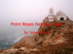 Point Reyes National Park
