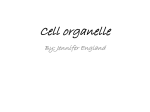 Cell organelle
