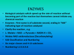 enzymes - MBBS Students Club