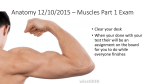 2/4/2014 * Muscles Movements, Types, and Names