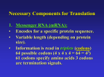 Necessary Components for Translation