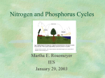 Nitrogen and Phosphorus Cycles - Evergreen State College Archives