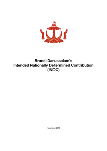 Brunei Darussalam INDC