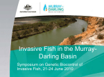Invasive Fish in the Murray- Darling Basin