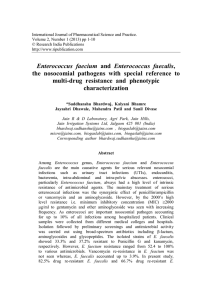 Enterococcus faecium and Enterococcus faecalis, the nosocomial
