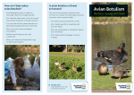 Avian Botulism brochure