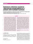 Pulmonary infection caused by Talaromyces purpurogenus in a