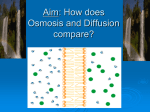What is the diffusion of water called?