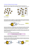 The Physics of Magnetic Resonance Imaging