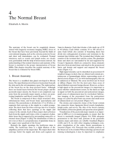 The Normal Breast