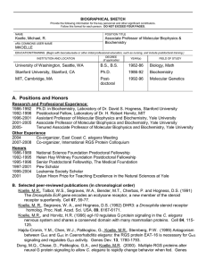 (Rev. 9/04), Biographical Sketch Format Page