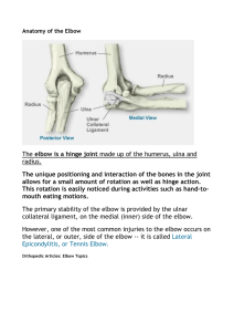 The elbow is a hinge joint made up of the humerus, ulna