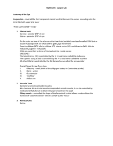 Ophthalmic Surgery Lab Anatomy of the Eye Conjunctiva – coverlet