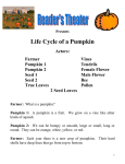 Life Cycle of a Pumpkin