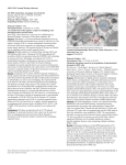 ARVO 2017 Annual Meeting Abstracts 231 RPE metabolism